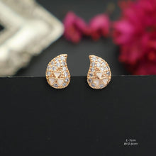 Load image into Gallery viewer, Stone Studded Elegant Earring
