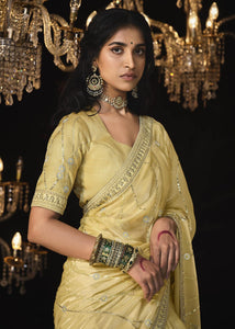 Pure Soft Embroidered Dola Silk Saree